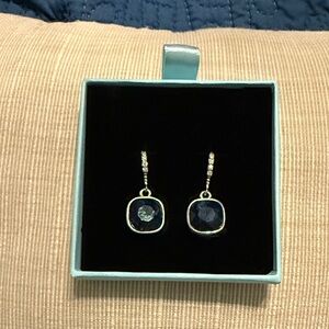 Elegant Blue and Silver Earrings